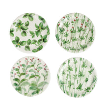 Load image into Gallery viewer, Erbe Salad Plates Set of 4
